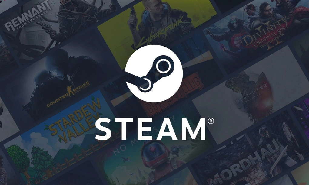 Steam Wallet Giftcard 10$